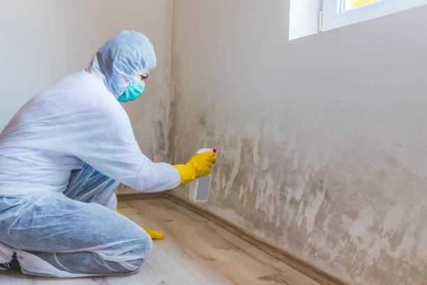 Licensed Mold Testing service in Goldvein, VA - WQB Mold Removal