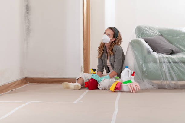 Reliable Mold Testing contractor in Goldvein, VA by WQB Mold Removal