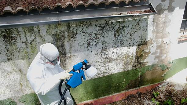Top rated local Mold Testing specialists in Goldvein, VA